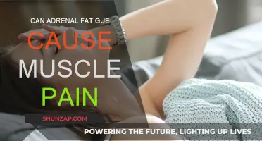 Adrenal Fatigue and Muscle Pain: Is There a Link?