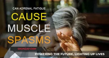 Adrenal Fatigue and Muscle Spasms: Is There a Link?