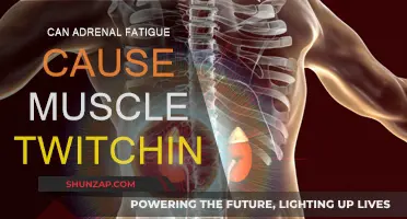 Adrenal Fatigue and Muscle Twitching: Is There a Link?