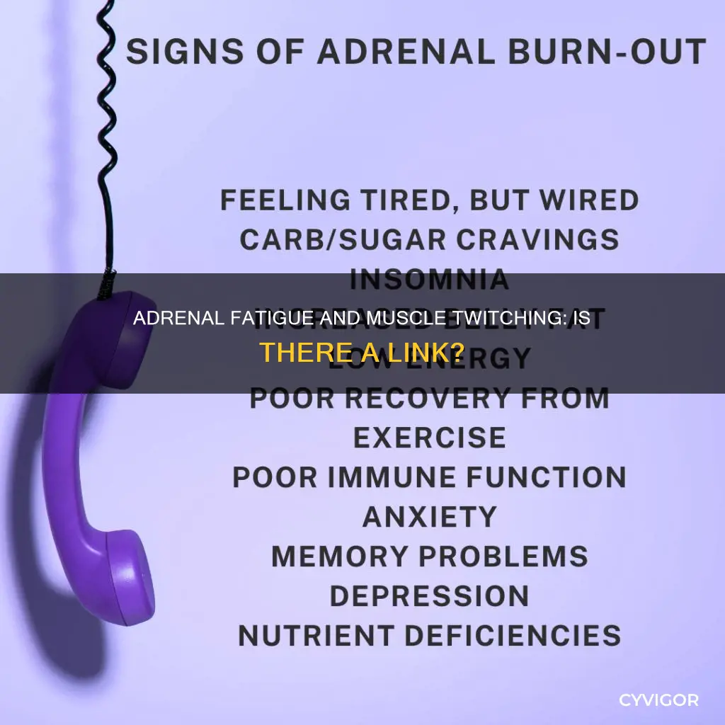 can adrenal fatigue cause muscle twitching
