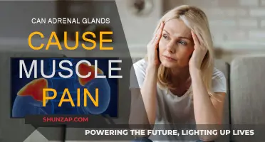 Adrenal Gland Dysfunction: A Cause of Muscle Pain?