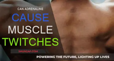 Adrenaline Rush: The Link to Muscle Twitching