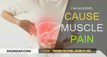 Alcohol and Muscle Pain: What's the Connection?