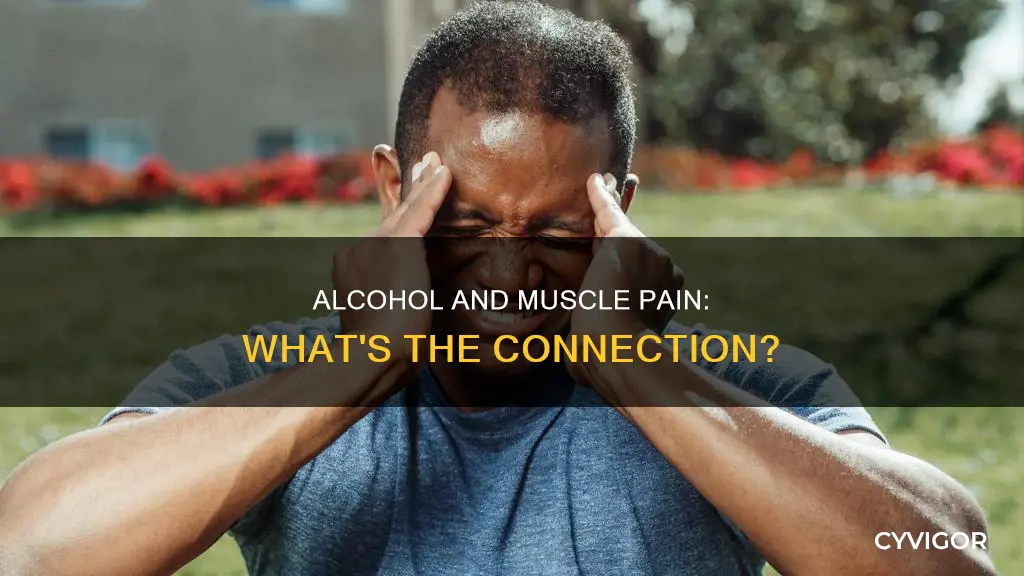 can alchohol cause muscle pain