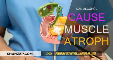 Alcohol and Muscle Atrophy: What's the Link?