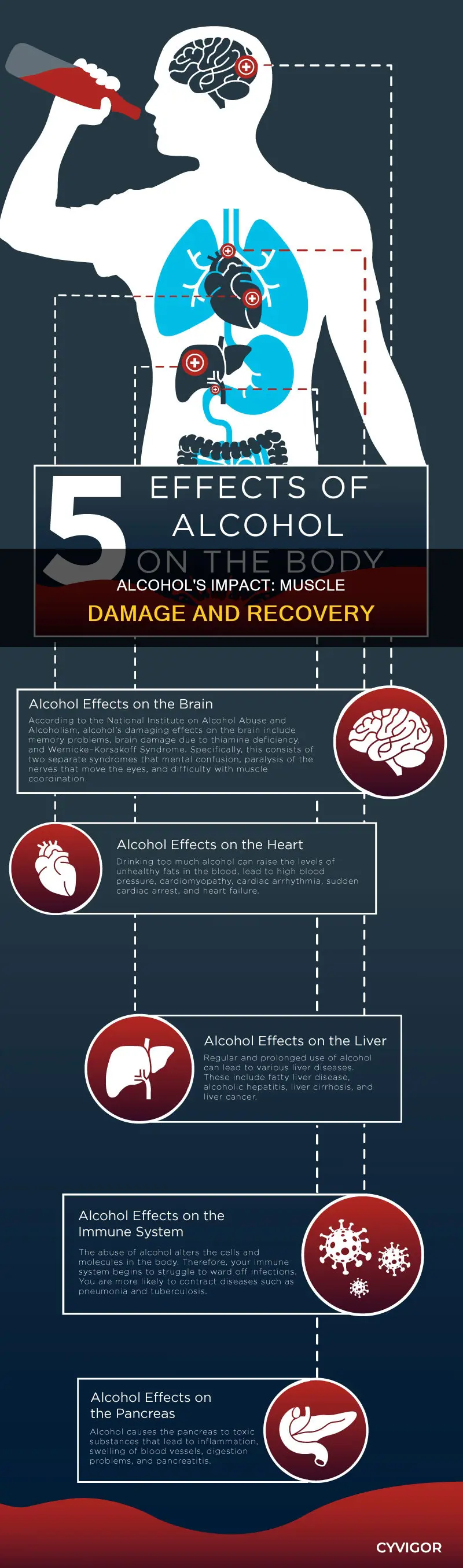 can alcohol cause muscle damage