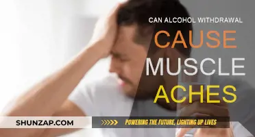 Alcohol Withdrawal and Muscle Aches: What's the Link?