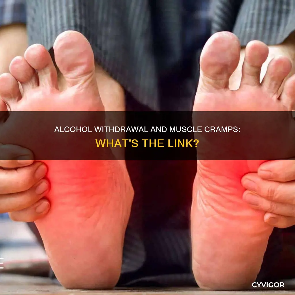 can alcohol withdrawal cause muscle cramps