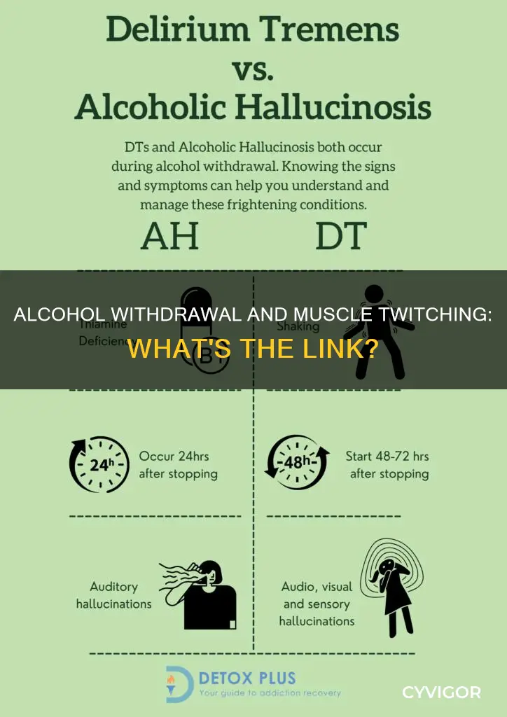 can alcohol withdrawal cause muscle twitching