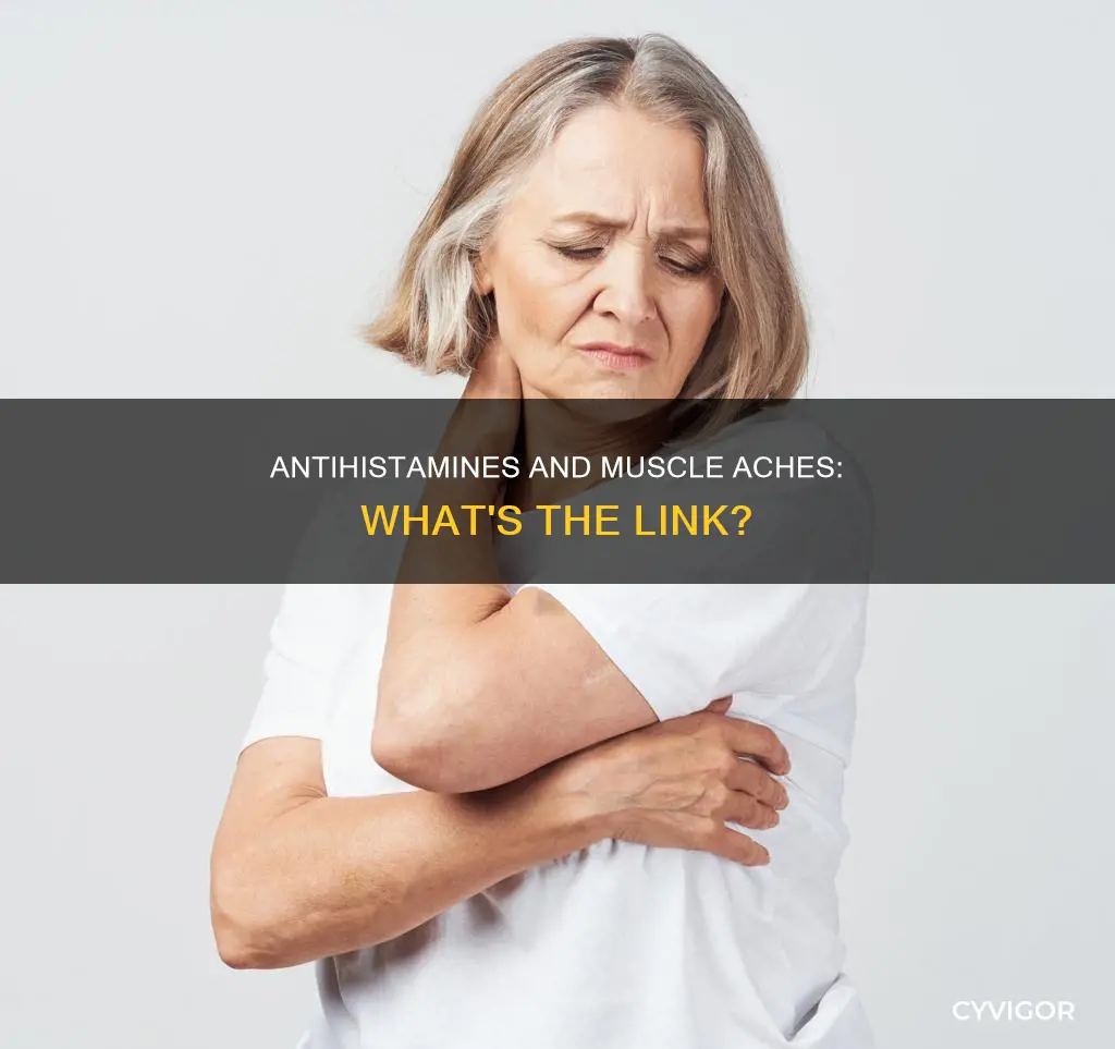 can allegra or zyrtec cause extreme muscle aches