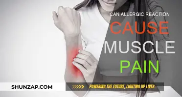 Allergic Reactions: Can They Cause Muscle Pain?