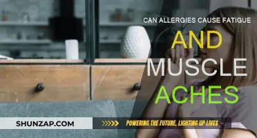 Allergies: Fatigue and Muscle Aches Explained