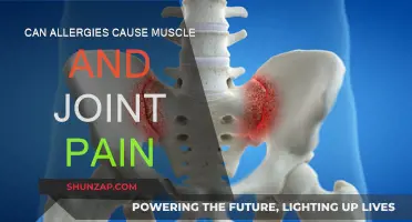 Allergies and Muscle Pain: What's the Connection?