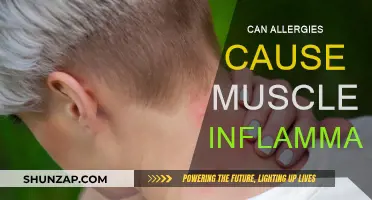Allergies and Muscle Inflammation: What's the Link?
