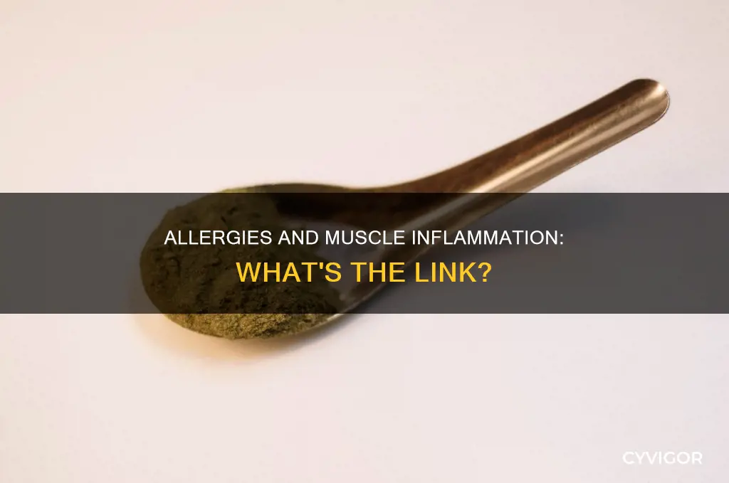 can allergies cause muscle inflammation