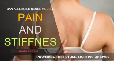 Allergies and Muscle Pain: Is There a Link?