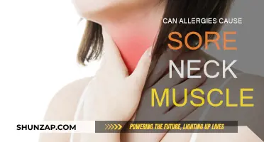 Allergies and Sore Neck Muscles: Is There a Link?