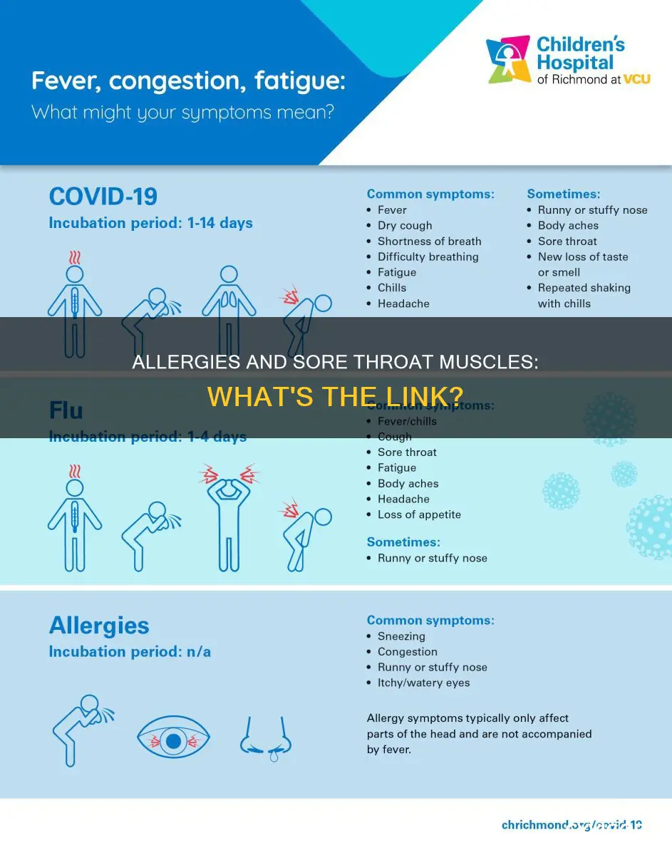 can allergies cause sore throat muscles