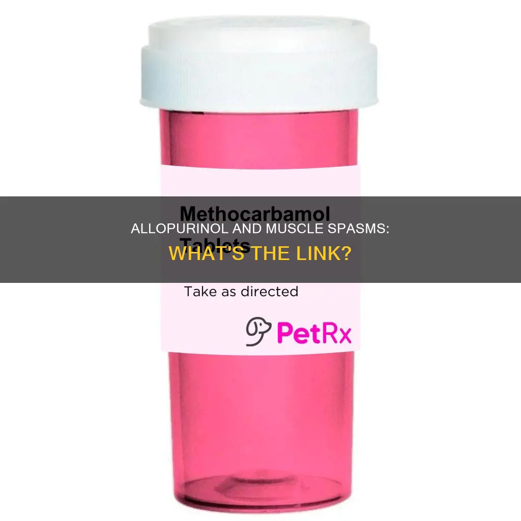 can allopurinol cause muscle spasms