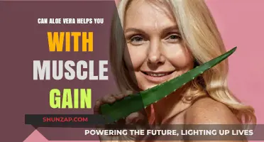 Aloe Vera for Muscle Gain: Fact or Fiction?