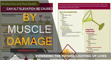 How Muscle Damage Can Elevate ALT Levels