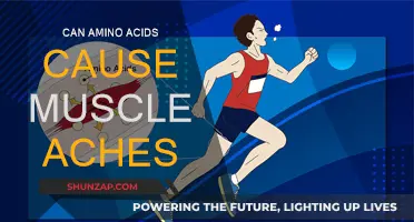 Amino Acids: Friend or Foe for Sore Muscles?