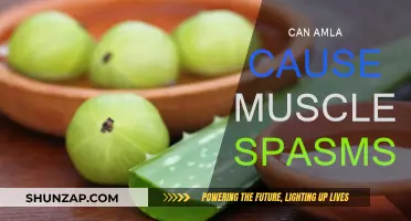 Amla and Muscle Spasms: A Surprising Link