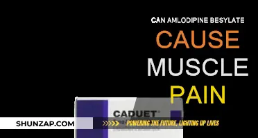 Amlodipine Besylate: Muscle Pain as a Side Effect