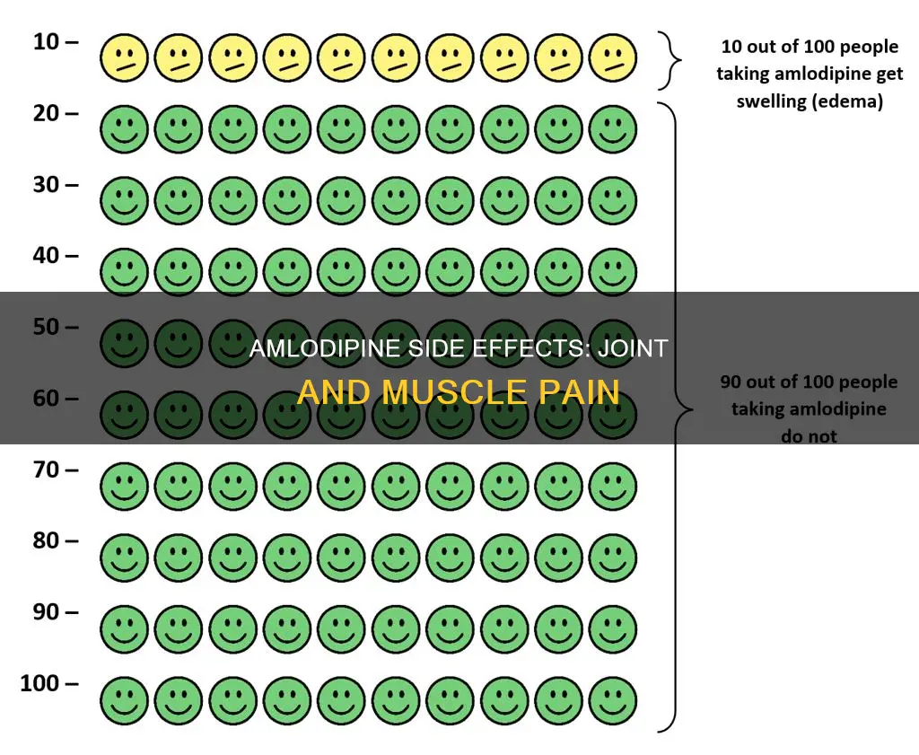can amlodipine cause joint and muscle pain