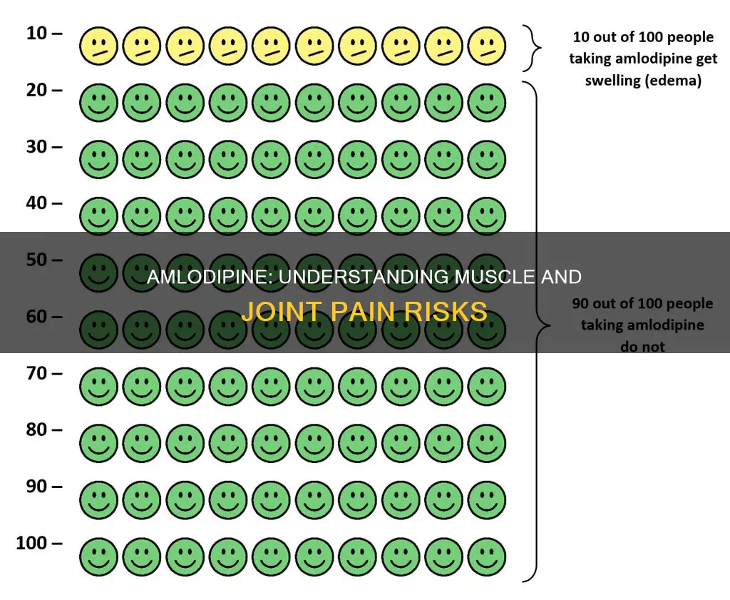 can amlodipine cause muscle and joint pain