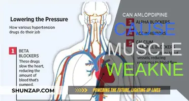 Amlodipine Side Effects: Muscle Weakness Explained