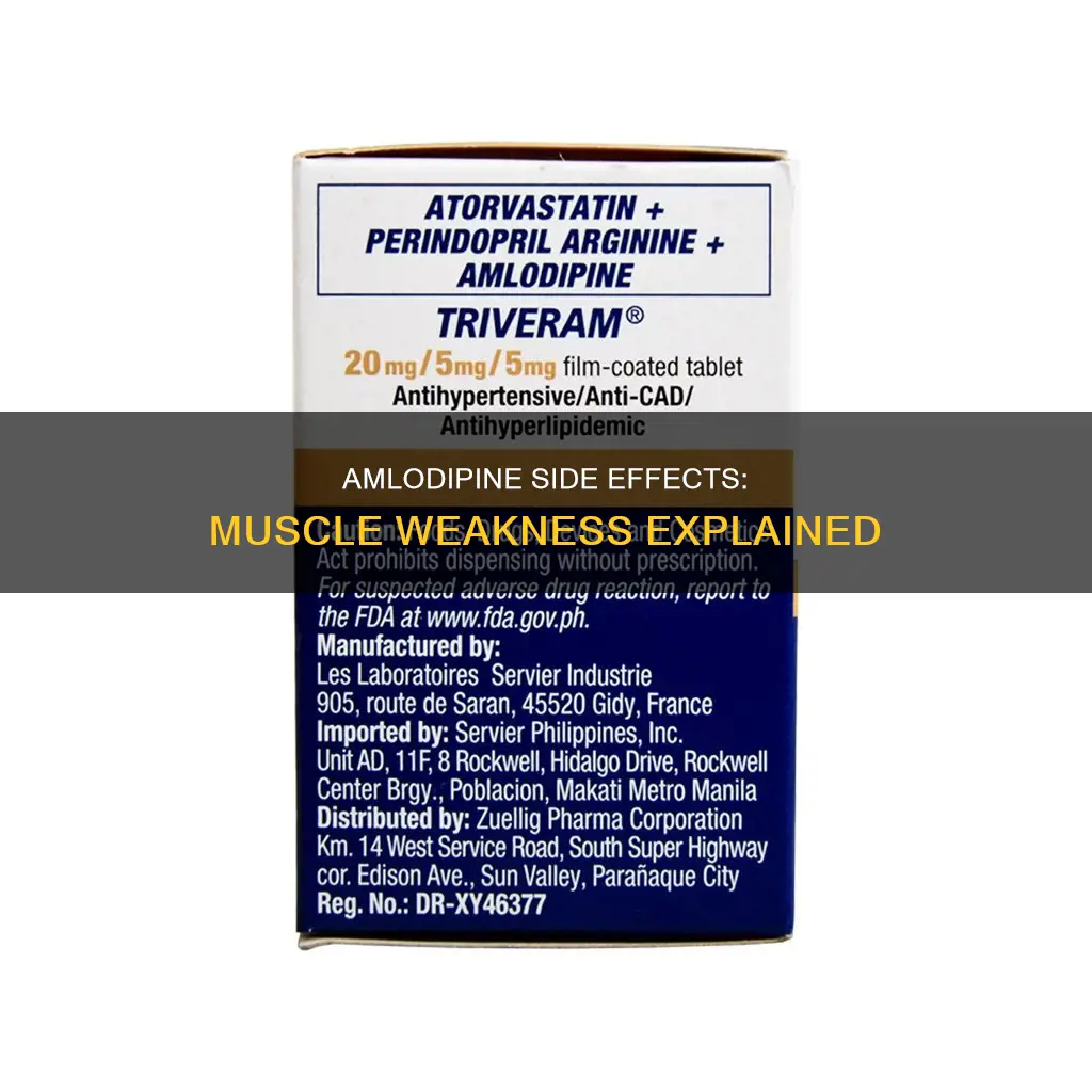 can amlopdipine cause muscle weakness