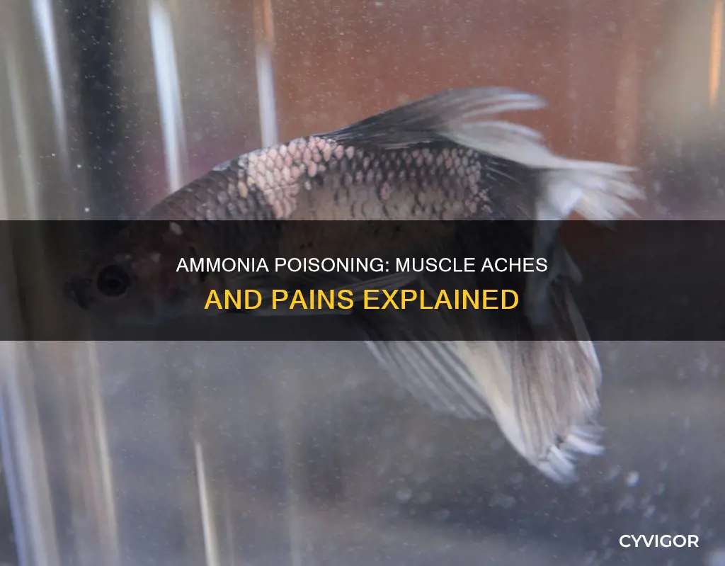 can ammonia poisoning cause muscle aches