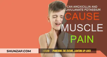 Amoxicillin and Muscle Pain: What's the Link?