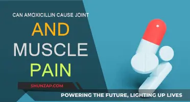 Amoxicillin Side Effects: Joint and Muscle Pain Explained