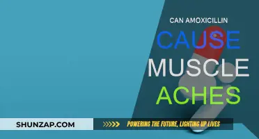 Amoxicillin and Muscle Aches: What's the Link?
