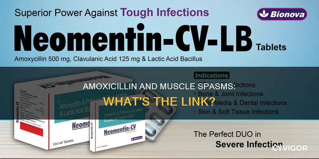can amoxicillin cause muscle spasms