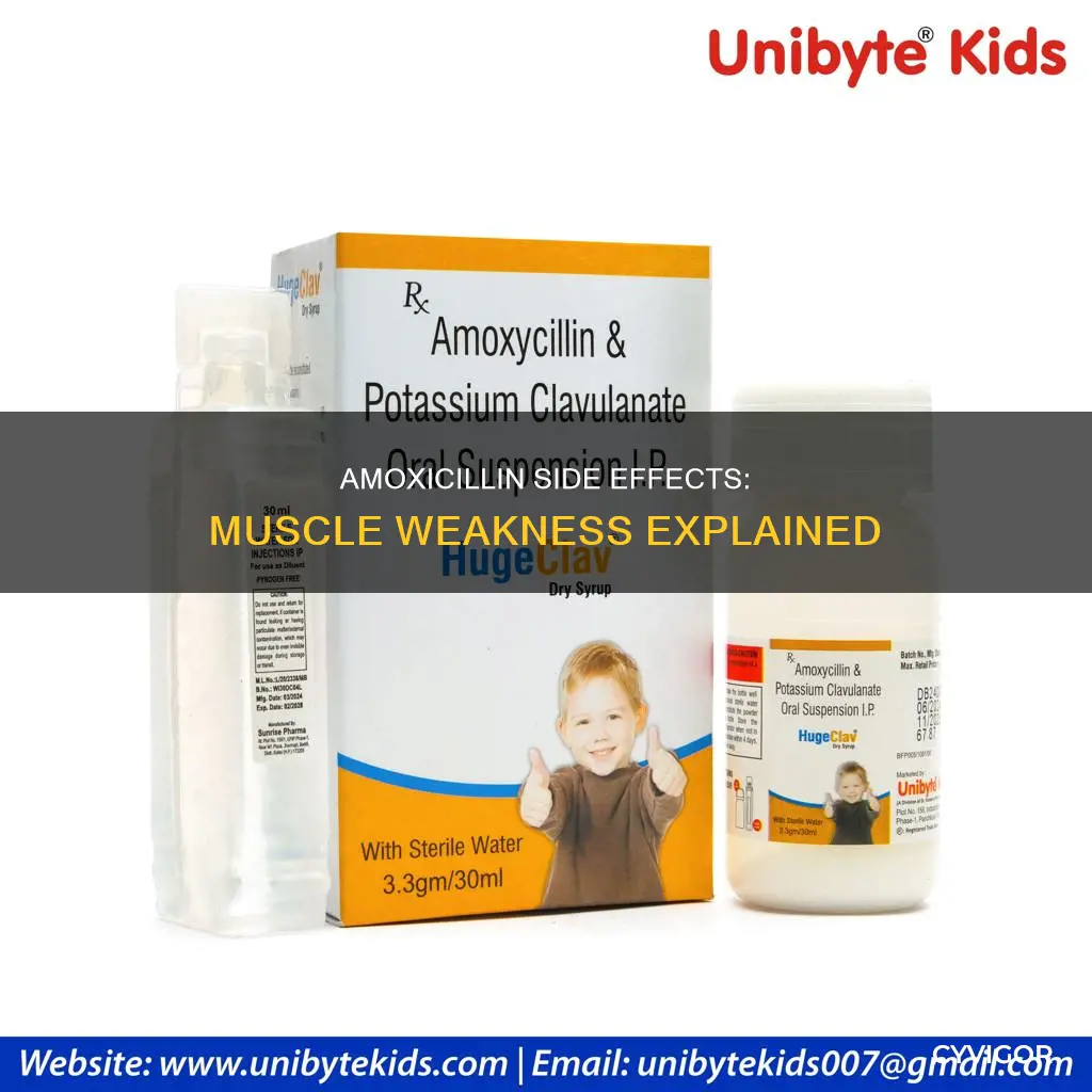 can amoxicillin cause muscle weakness