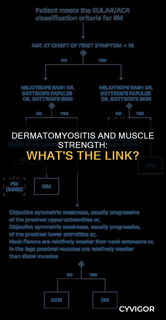 can amyopathic dermatomyositis cause muscles to not gain strength