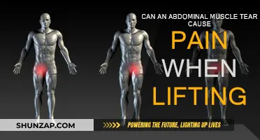 Abdominal Muscle Tears: Lifting Weights, Feeling Strains