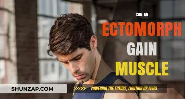 Ectomorph Muscle Gain: Strategies for Building Mass Effectively