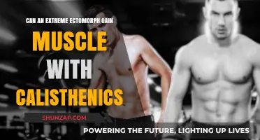 Ectomorph Muscle Gain: Calisthenics for Extreme Body Types