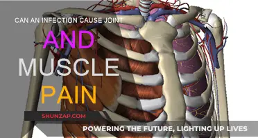 How Infections Spark Joint and Muscle Pain