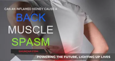 Inflamed Kidneys: A Cause of Back Muscle Spasms?