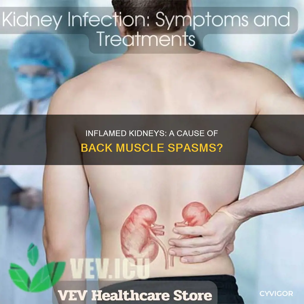 can an inflamed kidney cause a back muscle spasm