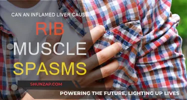 Liver Inflammation: Rib Muscle Spasms Explained