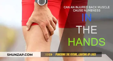Back Pain and Numb Hands: What's the Link?