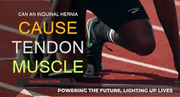 Hernias: Tendon and Muscle Pain Connection