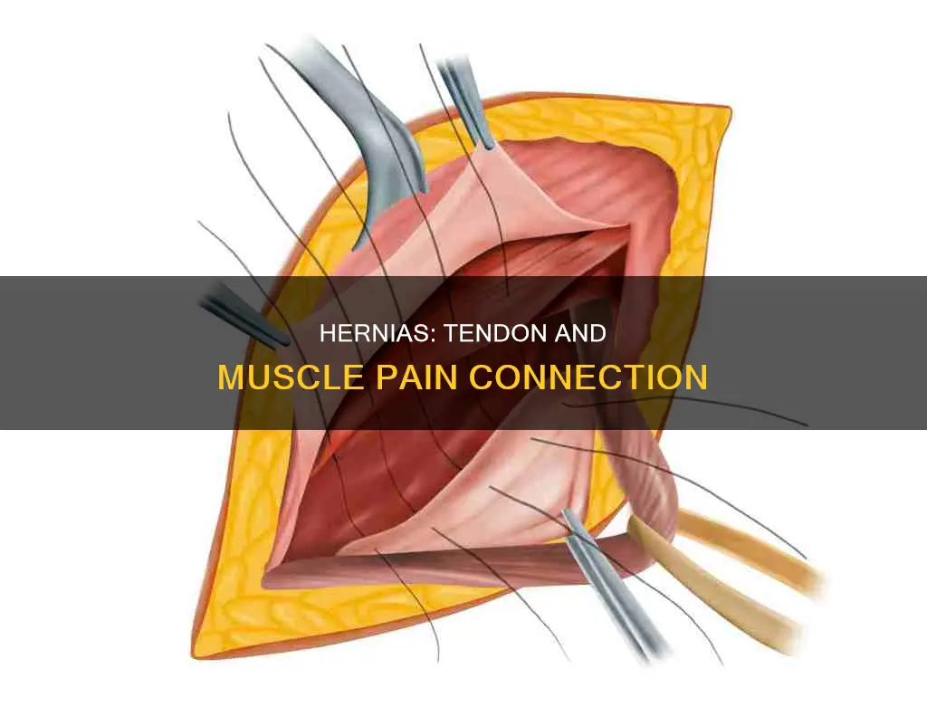can an inquinal hernia cause tendon muscle
