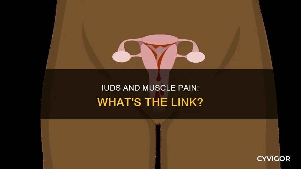 can an iud cause muscle pain